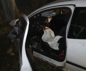 18-latka wjechała prosto w drzewo