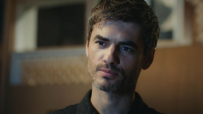 Dziedzictwo, odc. 879. Poyraz