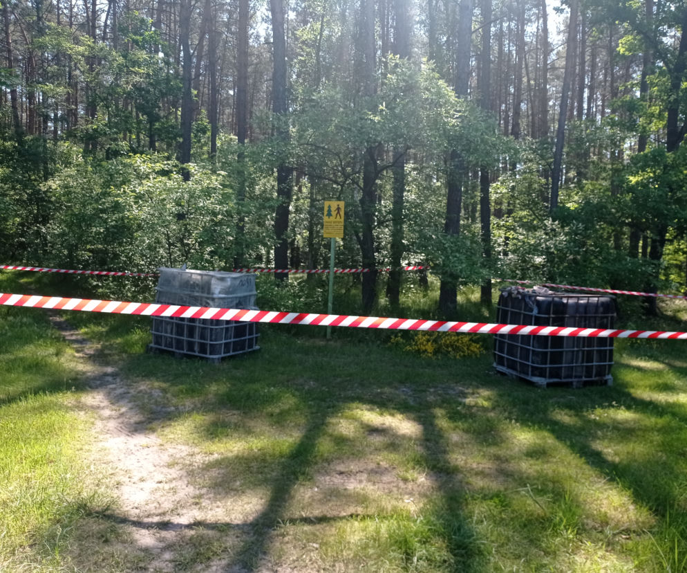 2 tysiące litrów chemicznych odpadów wyrzuconych w lasach obok Torunia