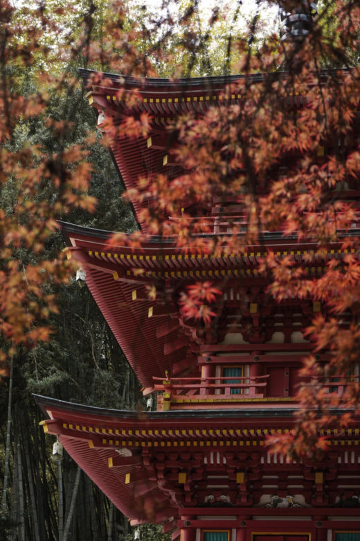 Duchowa Japonia oczami podróżniczek. O świątyniach, pielgrzymce i spotkaniach, które nadają podróży sens