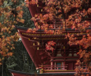 Duchowa Japonia oczami podróżniczek. O świątyniach, pielgrzymce i spotkaniach, które nadają podróży sens