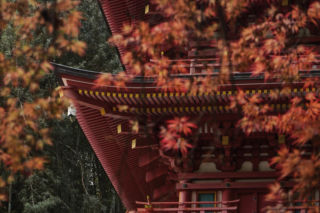Duchowa Japonia oczami podróżniczek. O świątyniach, pielgrzymce i spotkaniach, które nadają podróży sens