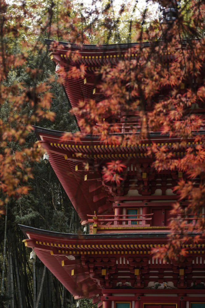 Duchowa Japonia oczami podróżniczek. O świątyniach, pielgrzymce i spotkaniach, które nadają podróży sens