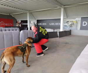 Psy służbowe, szkolenia i strefa pierwszej pomocy. Trwa drugi dzień CERBERUS K9 w Ostrowie