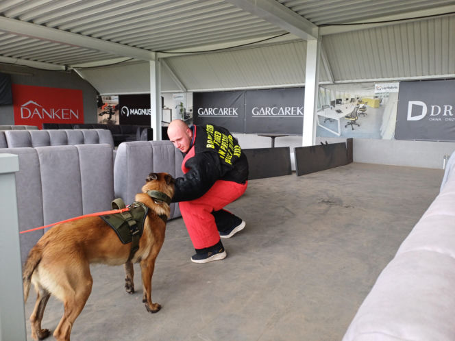 Psy służbowe, szkolenia i strefa pierwszej pomocy. Trwa drugi dzień CERBERUS K9 w Ostrowie