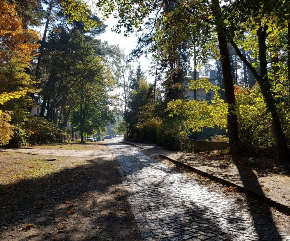 Ulica Pogodna jesienią