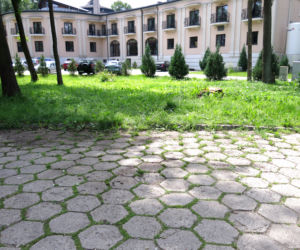Augstów. 34-latek napadł z nożem na 81-latkę