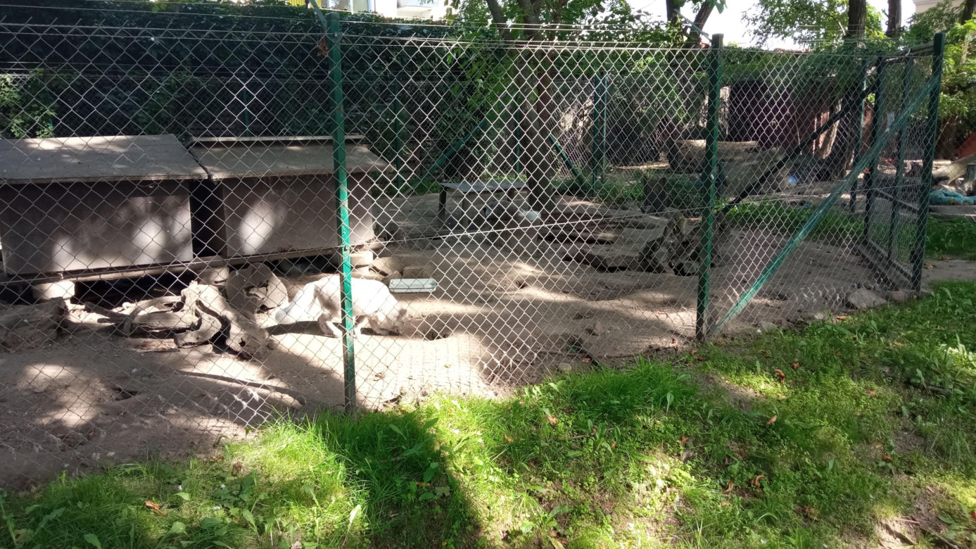 Stare ZOO w Poznaniu. Idealne miejsce na rodzinne spacery w sercu miasta 