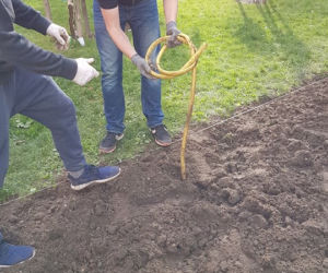 Mieszkańcy sami zazielenili sobie beton na Dąbrowskiego