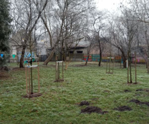 Park ul. Dekerta