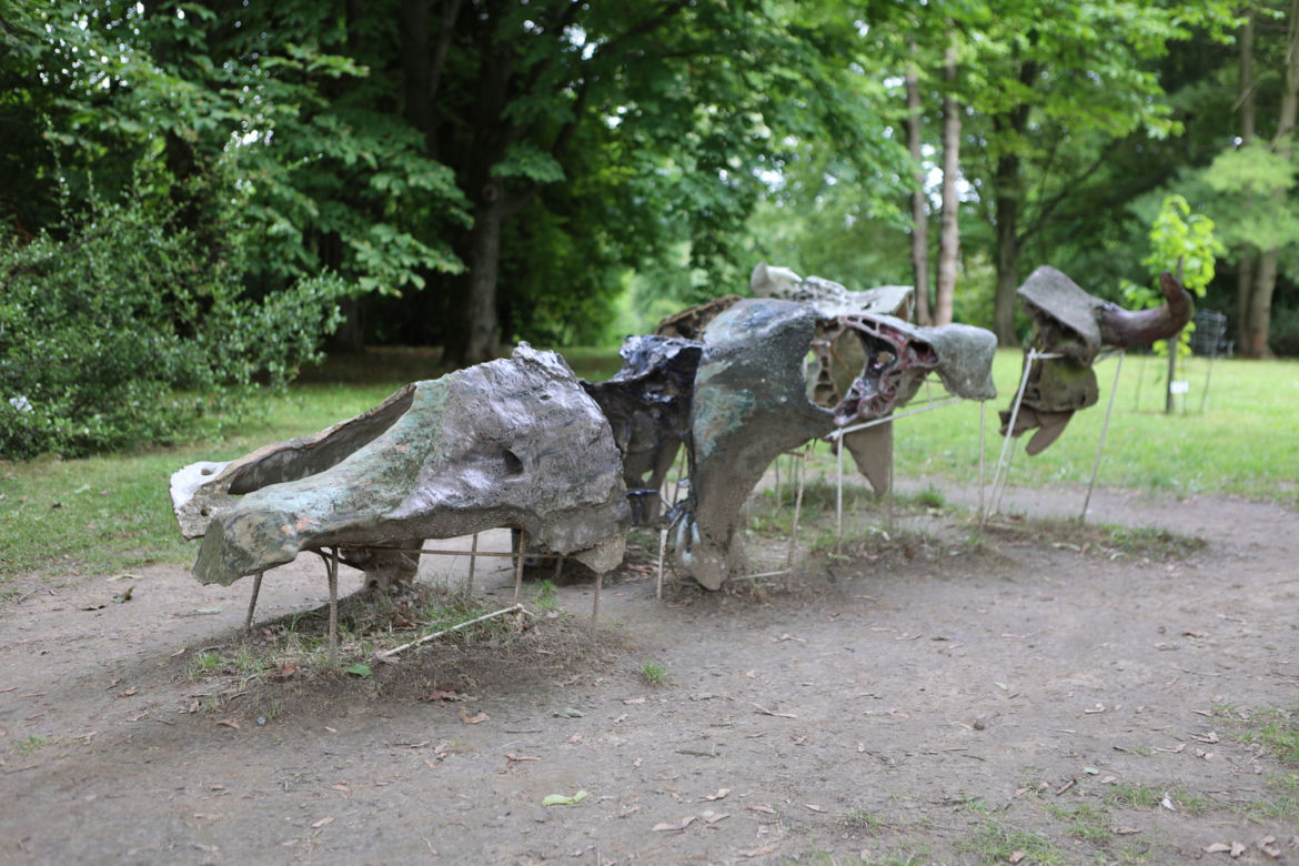 Kwitnący Ogród Botaniczny UMCS w Lublinie