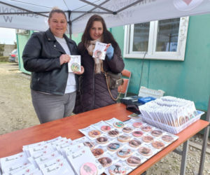Przybyło psów w schronisku w Henrykowie koło Leszna. Ilość zatrważająca