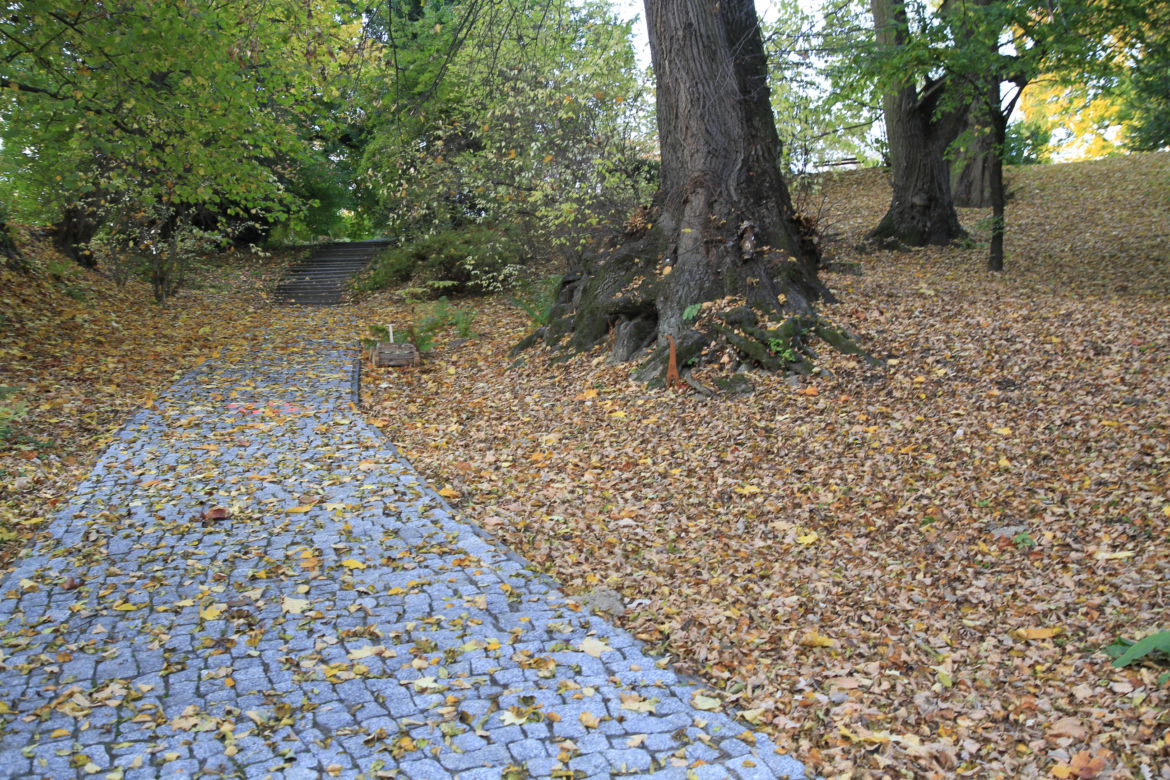 Spacer po jesiennych Ogrodzie Botanicznym w Lublinie