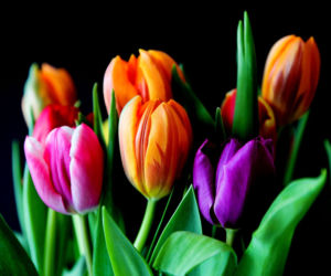 Życzenia imieninowe dla Kacpra