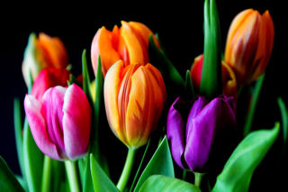 Życzenia imieninowe dla Kacpra. Nie masz pomysłu? Oto gotowe propozycje