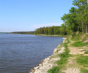 Czysty Zalew