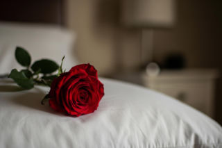 Marianna Schreiber i Korczarowski. Co przelało czarę goryczy?