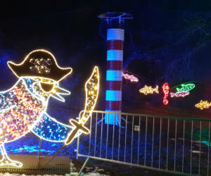 Lumina Park w Ogrodzie Botanicznym UMCS w Lublinie