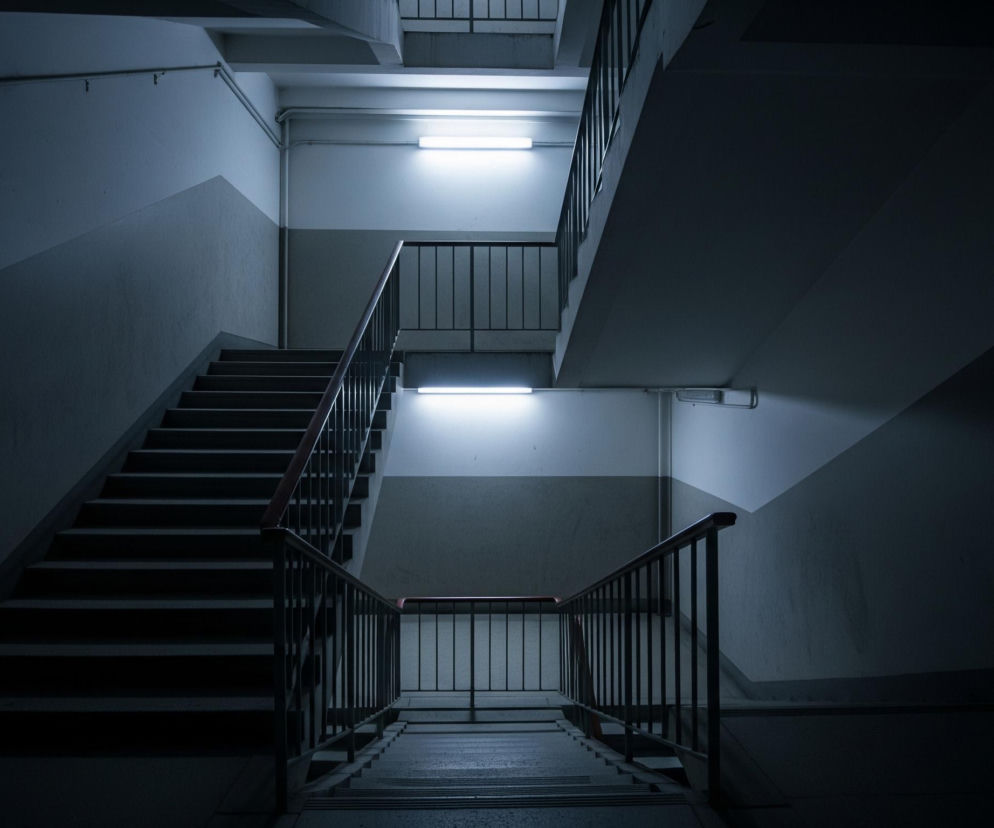 Widoczne są schody wewnątrz budynku, biegnące z lewego dolnego rogu ku górze i skręcające w prawo na półpiętrze, gdzie zaczynają schodzić. Dominuje ciemna, monochromatyczna paleta barw z odcieniami granatu, szarości i bieli. Ściany są częściowo oświetlone przez trzy poziome, podłużne lampy jarzeniowe, rzucające chłodne, niebieskawe światło na fragmenty klatki schodowej i balustrady. Balustrady wykonane są z ciemnych, pionowych prętów z drewnianą poręczą, a stopnie schodów są ciemne i proste.