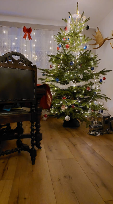 Wyjątkowe choinki słuchaczy VOX FM
