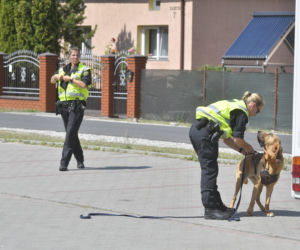 Do poszukiwań Dawidka zostały włączone specjalne psy niemieckiej policji