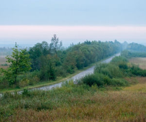 Łosiostradą przez Biebrzański Park Narodowy
