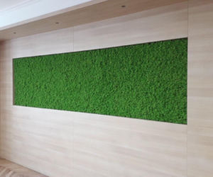 Green Decor