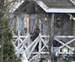 Prawdziwe paparazzi Rozenków nad morzem