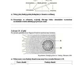 Matura 2013 biologia p. rozszerzony
