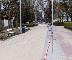 Dostali mandat za siedzenie w aucie 
