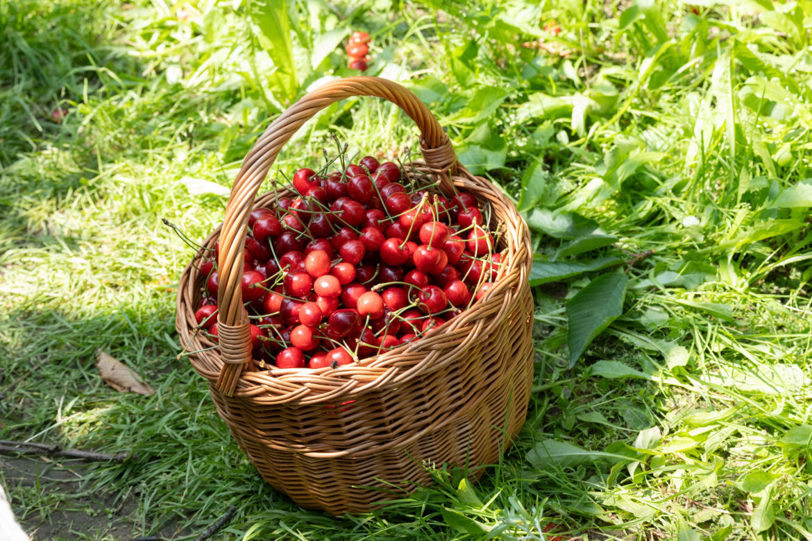 Farma 3: zwycięzca programu jest już znany? Padły zdecydowane słowa