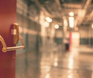 Łódzkie. Są pierwsze przypadki zakażenia małpią ospą. Sanepid prowadzi dochodzenie epidemiologiczne