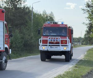 Wielki pożar pod Warszawą. Strażacy walczą z żywiołem