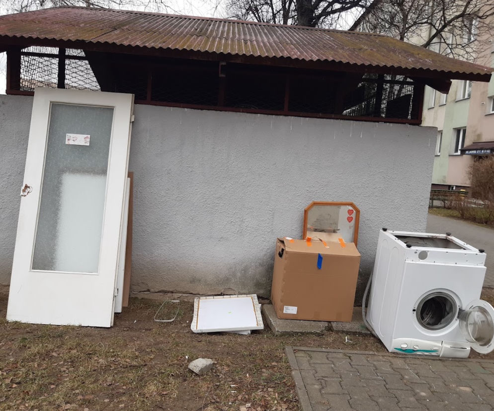 W Nowym Sączu trwa  wiosenna Wystawka
