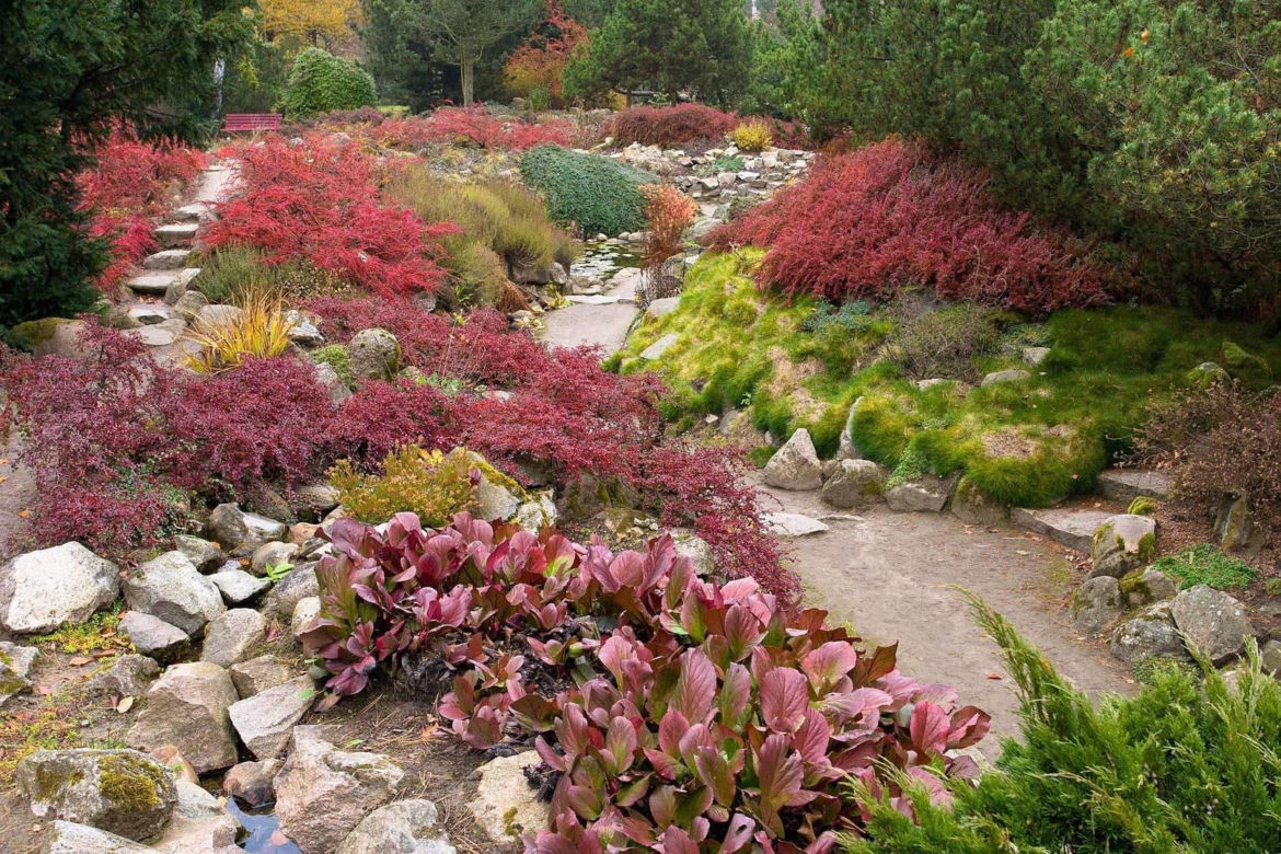 Arboretum w Rogowie