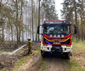 11 godzin walki z pożarem lasu. Wprowadzono najwyższy stopień zagrożenia pożarowego