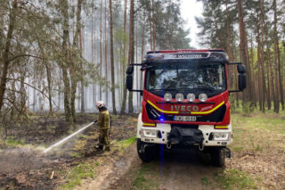 11 godzin walki z pożarem lasu koło Tylewic. Dzień wcześniej wprowadzono najwyższy stopień zagrożenia pożarowego