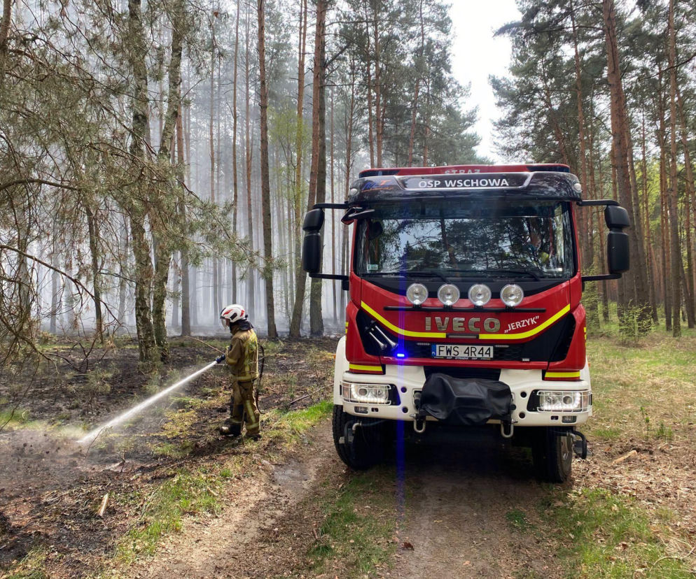 11 godzin walki z pożarem lasu koło Tylewic. Dzień wcześniej wprowadzono najwyższy stopień zagrożenia pożarowego