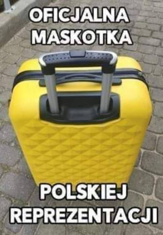 Mecz Polska - Szwecja: MEMY PO MECZU. Polska odpada z Euro 2020 [ZDJĘCIA]