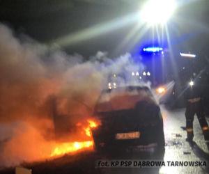 Nocny pożar na DK 73. Samochód spłonął doszczętnie