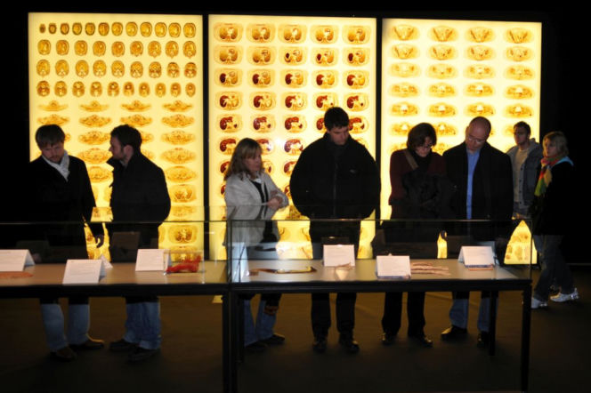 Body Worlds: Wystawa, której nigdy nie zapomnisz