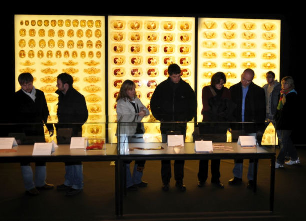 Wystawa Body Worlds wróciła do Warszawy. Zobaczysz tam prawdziwe ludzkie ciała od środka