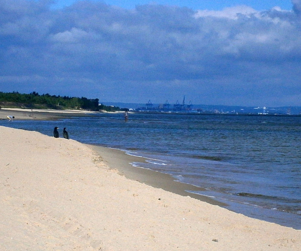 Plaża w Sobieszewie.