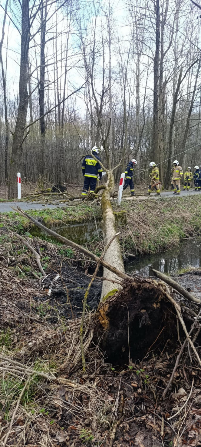 Interwencje Strażaków przy likwidacji szkód spowodowanych przez gwałtowny wiatr i burze