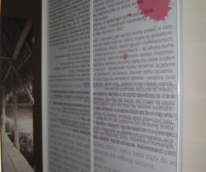 Zdjęcie 3428