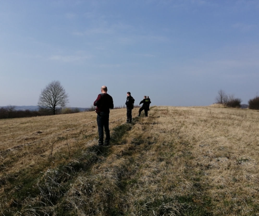 POSZUKIWANIA
