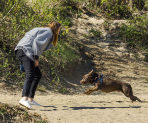 Pełczyńska-Nałęcz na siłowni. Tak wyglądał jej trening z psem