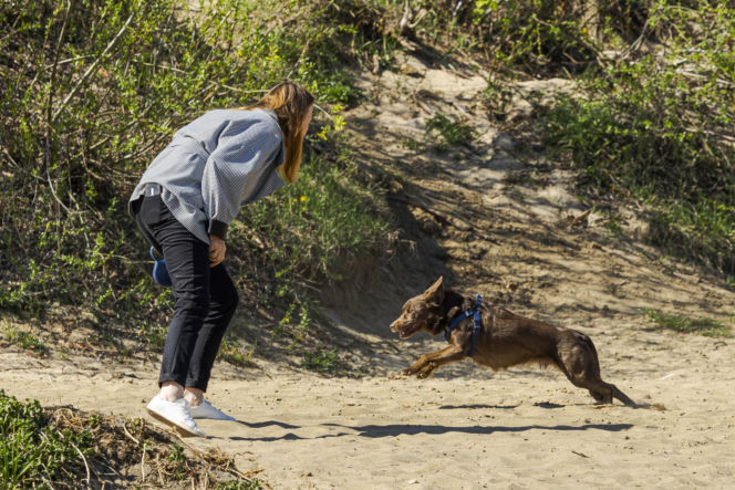 Pełczyńska-Nałęcz na siłowni. Tak wyglądał jej trening z psem