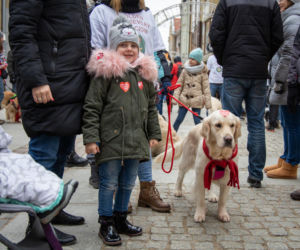WOŚP 2020. Była wielka ściskawa i światełko do nieba