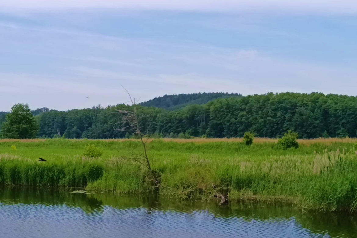 Tramwaj wodny Szczecin - Mescherin - Gartz